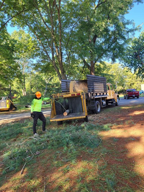  by Antonio's Tree Service