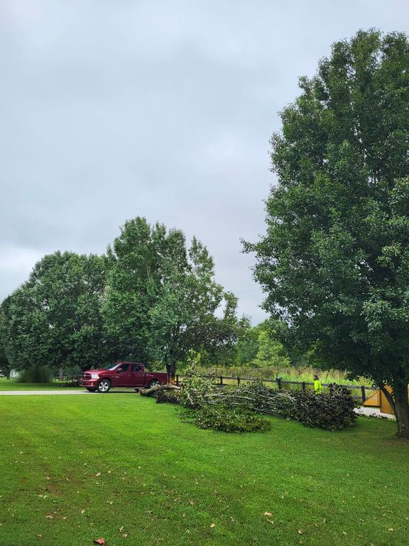  by Antonio's Tree Service