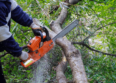  by Atoka Tree Service