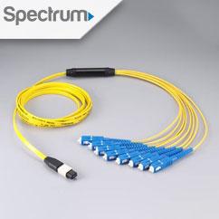  by Spectrum Georgetown KY