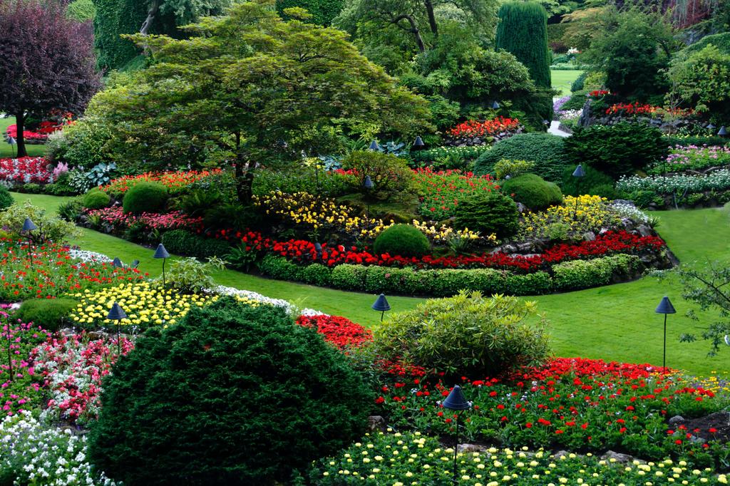 by Potomac Landscapers