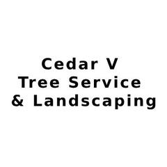 Cedar V Tree Service & Landscaping