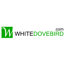  by White Dove Bird