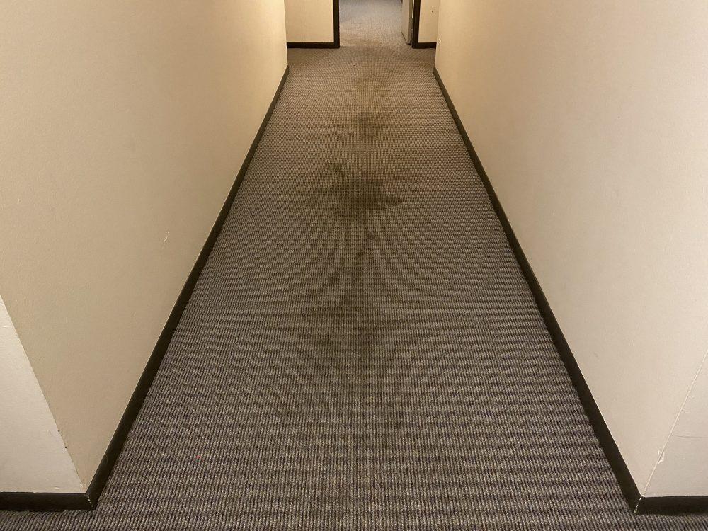  by LESS Cleaning
