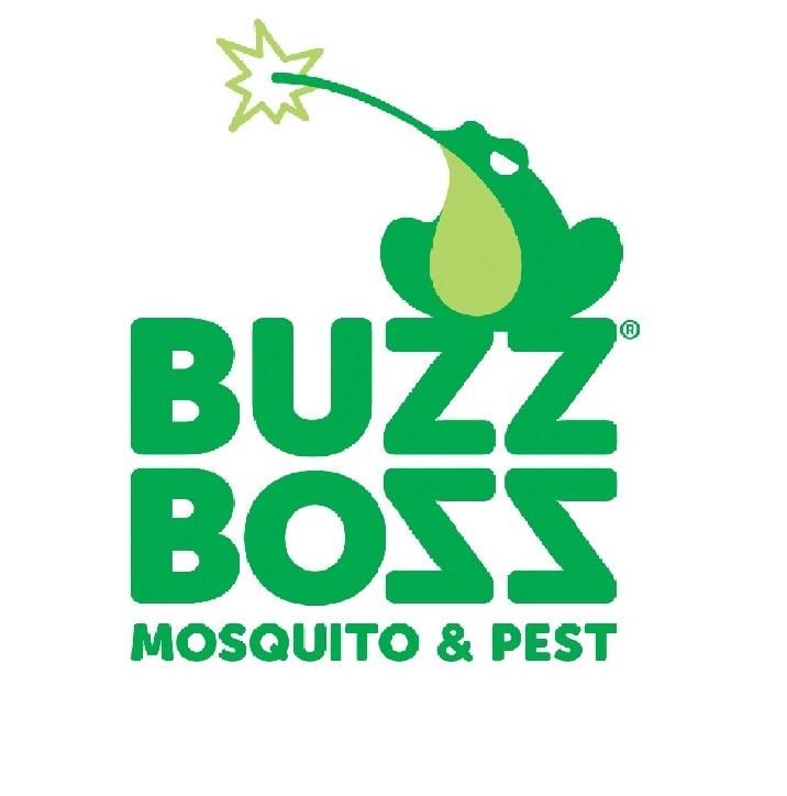  by Buzz Boss