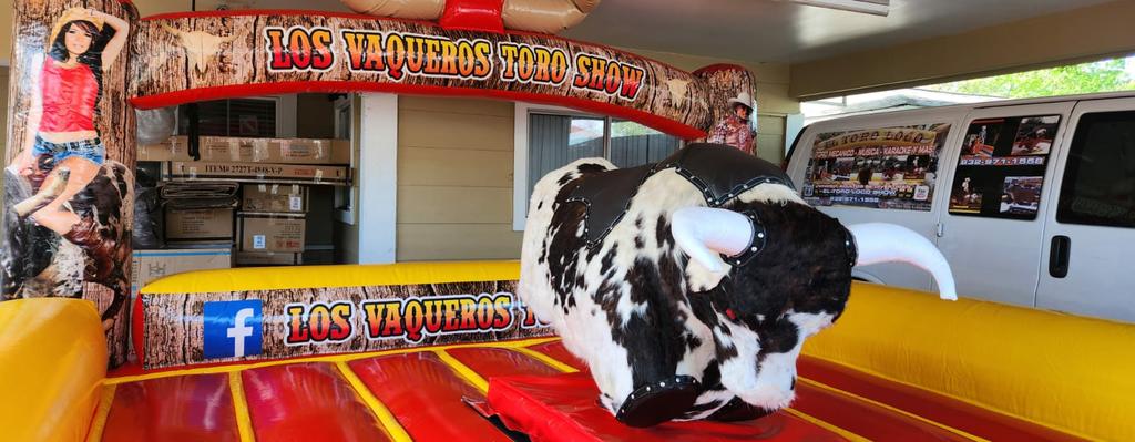  by The best mechanical bullrides