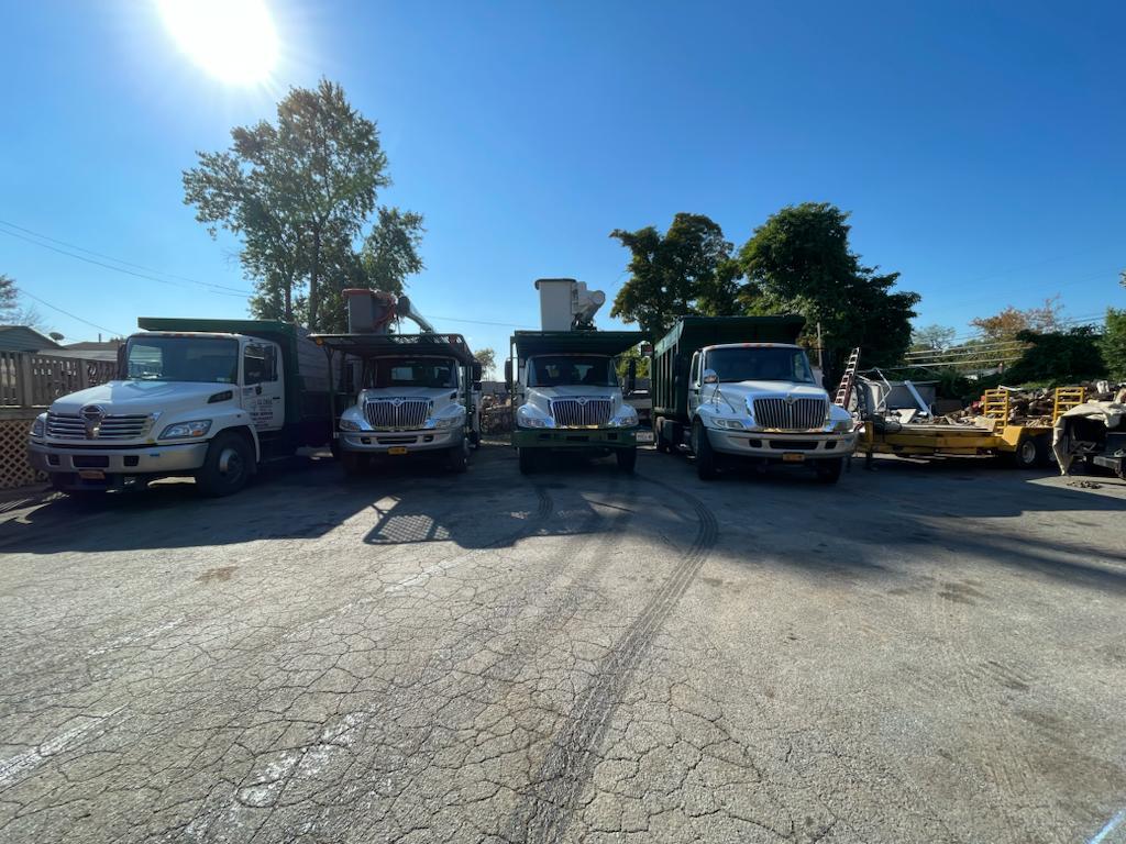  by Global Tree Services and Landscaping Inc