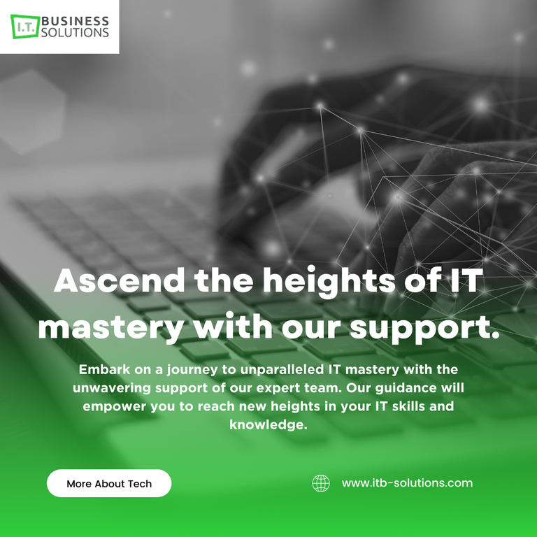  by IT Business Solutions