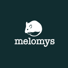 Melomys