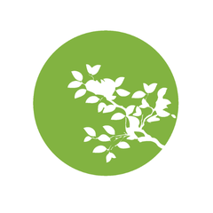 ARBOR YOUTH SERVICES