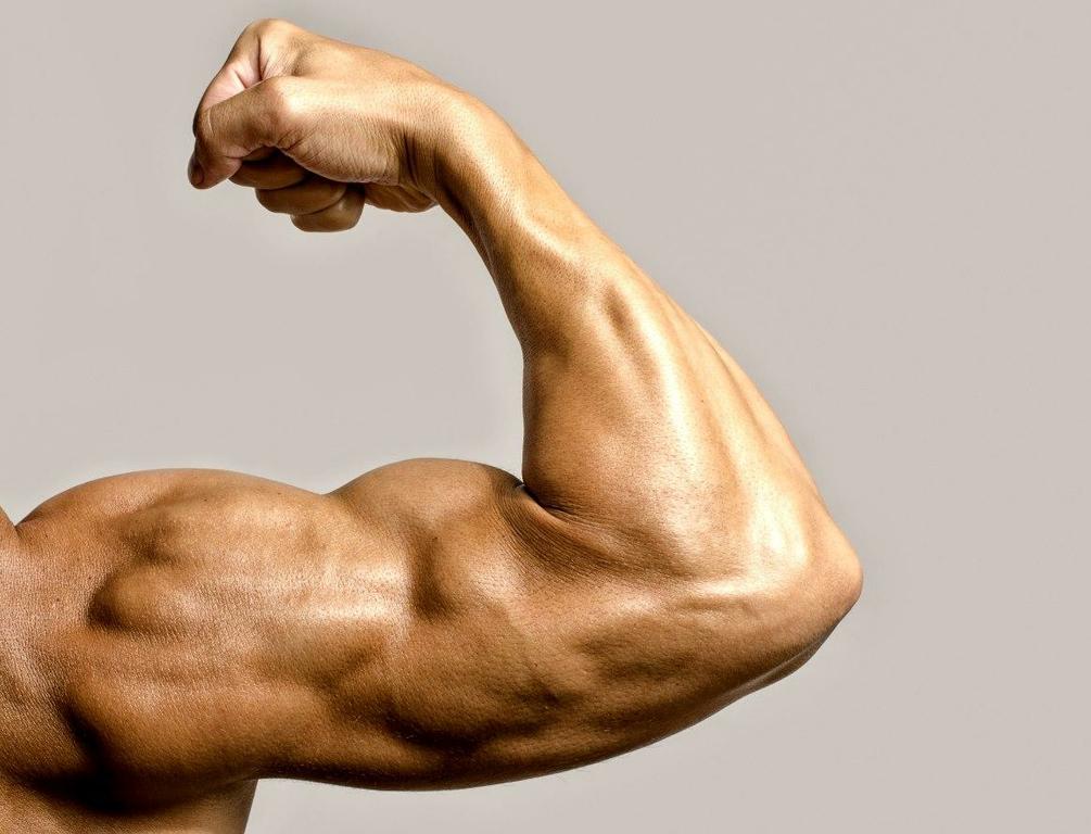 a-detailed-discussion-on-four-popular-anabolic-steroids by Maha Pharma