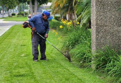  by Pacific Green Landscape Maintenance