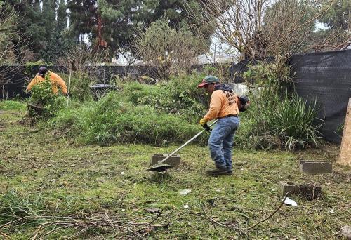  by Pacific Green Landscape Maintenance