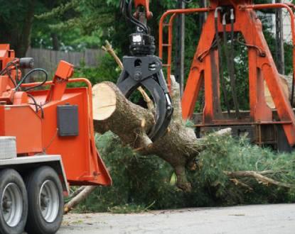  by Krause Tree Service