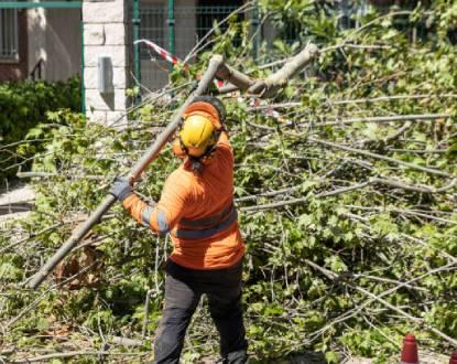  by Krause Tree Service