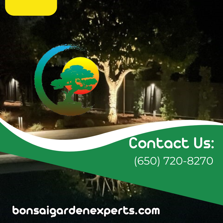  by Bonsai Garden Experts INC 
