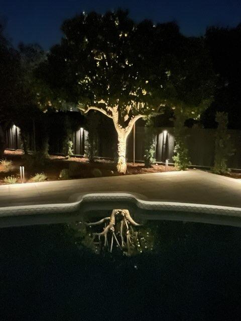  by Bonsai Garden Experts INC 