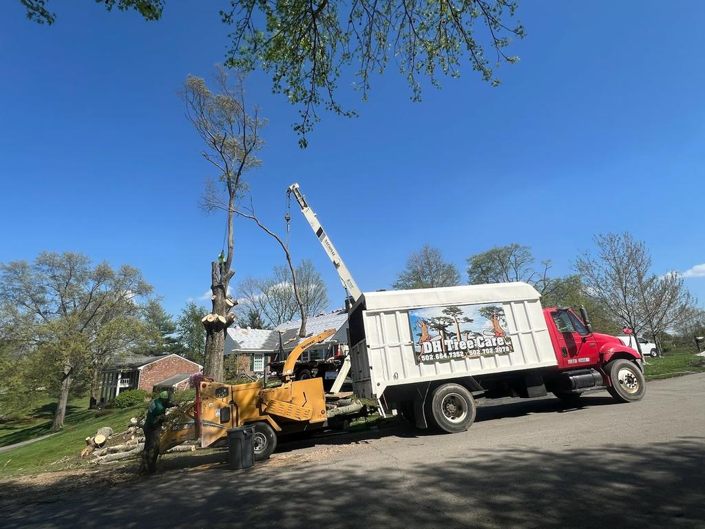  by DH Tree Care LLC
