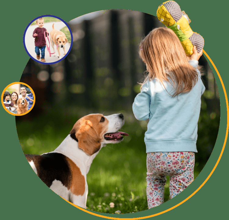 Elite Pooper Scoopers Glendale AZ 85302 6027812846