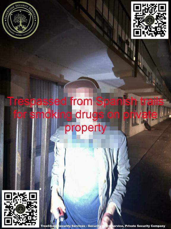  by TreeStone Security Services