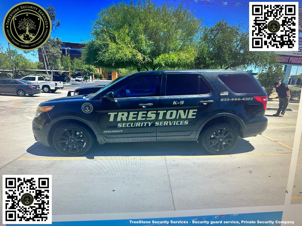  by TreeStone Security Services