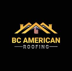 Blue Collar American Roofing LLC
