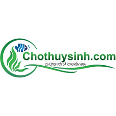 Chothuysinh