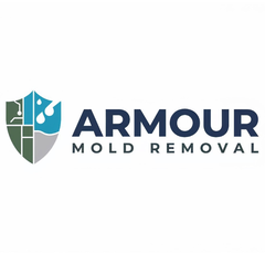 Armour Mold Removal