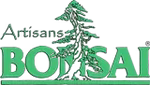  by Artisans Bonsai
