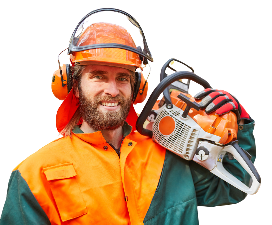  by HS Tree Service