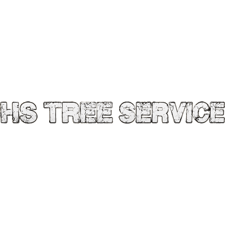 HS Tree Service logo by HS Tree Service