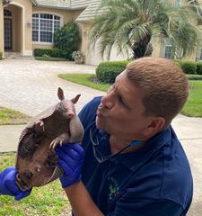Critter 911. Fast Rat & Wildlife Removal.