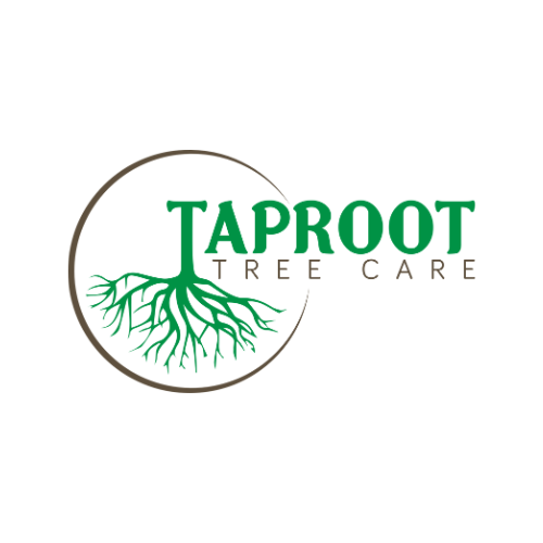  by Taproot Tree Care