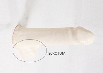  by Loria Medical USA