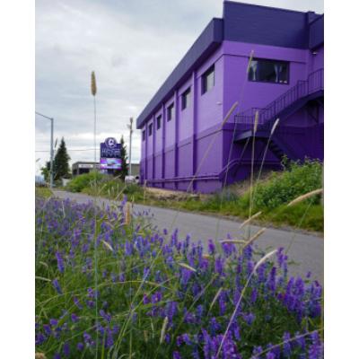 by Alaska Premier Auctions & Appraisals