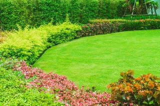 Collegeville Turf and Lawn Care
