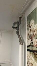 by Biotek Mold Specialists NYC