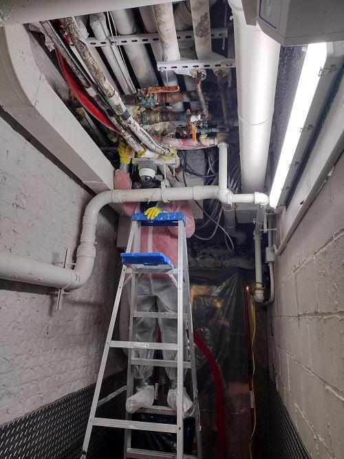  by Biotek Mold Specialists NYC