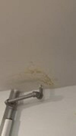  by Biotek Mold Specialists NYC