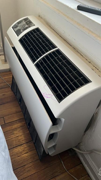  by Biotek Mold Specialists NYC
