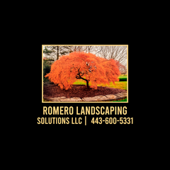 Romero Landscaping Solutions LLC