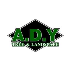 ADY Tree Landscape LLC