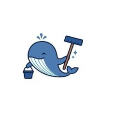Whale Pro Clean LLC