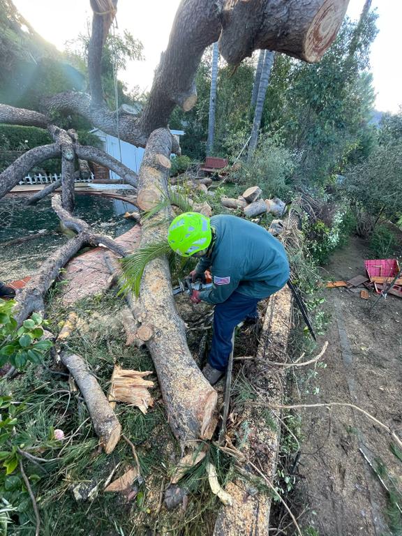  by California Green Tree Care