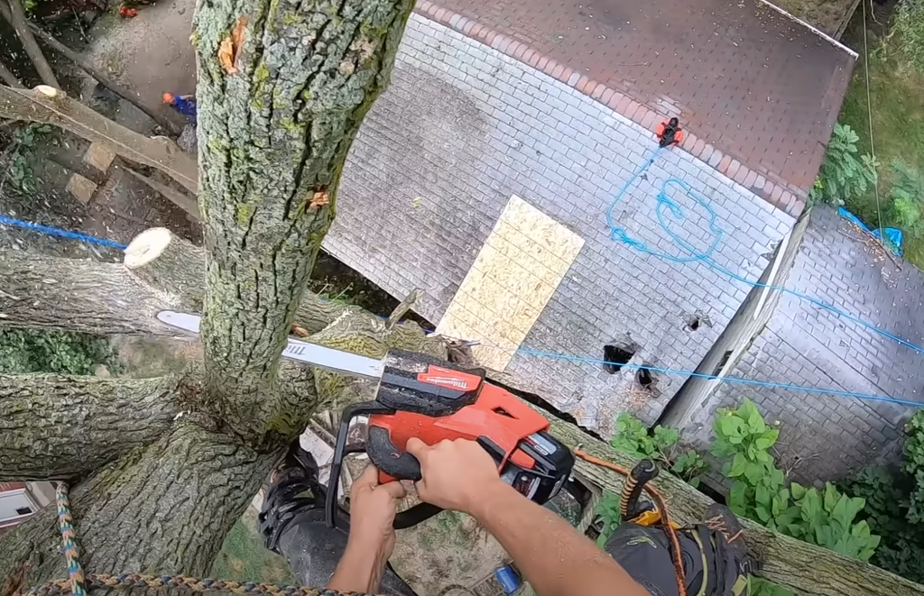  by Middletown Tree Service Pros