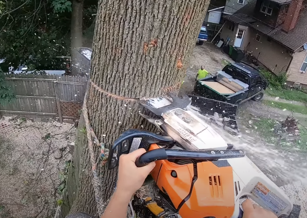  by Middletown Tree Service Pros
