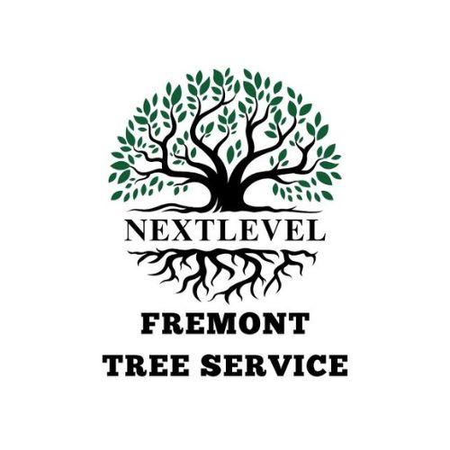  by NextLevel Fremont Tree Services