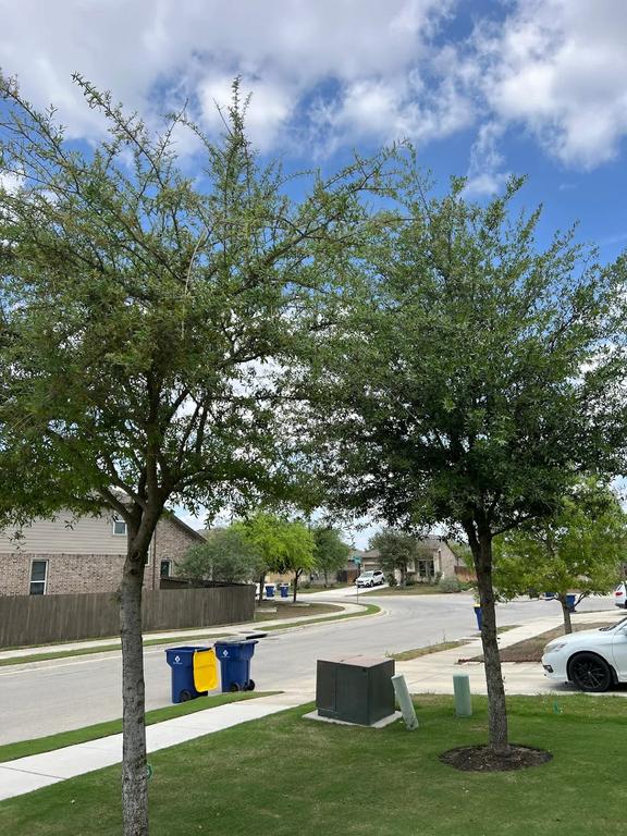  by Emerald Lawns - Katy Lawn Care