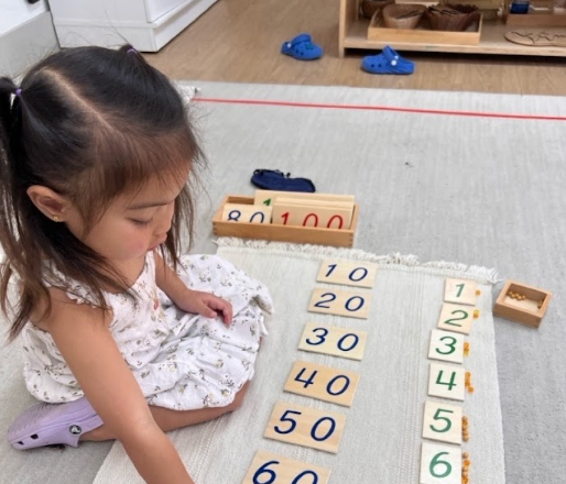 by Discover New Horizons Montessori