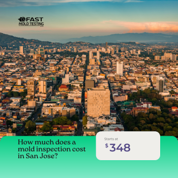  by Fast Mold Testing - San Jose